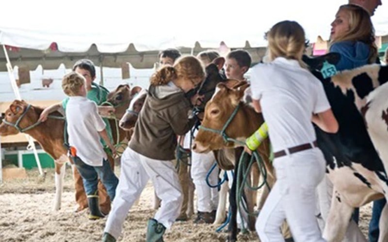 Agroriches - Canada Invests Big in Youth Agriculture Programs - 1